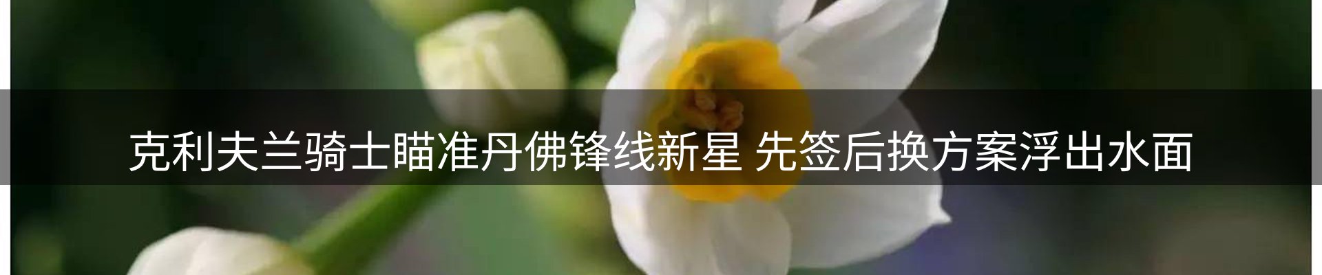 赛事资讯