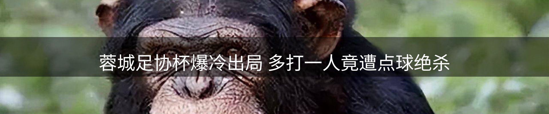 赛事资讯