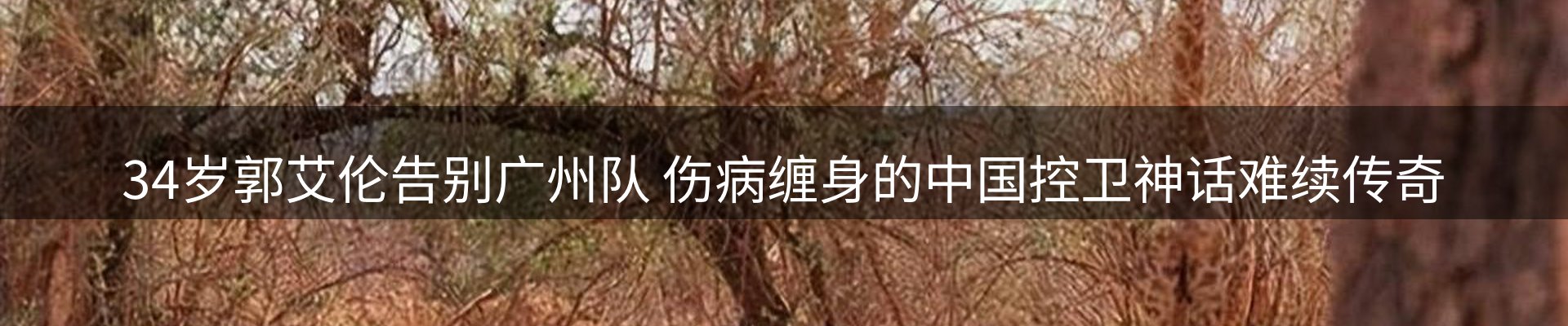 赛事资讯